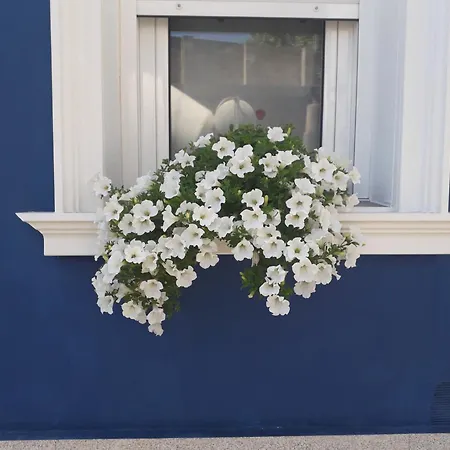 Casa de Férias Casa Jardín *